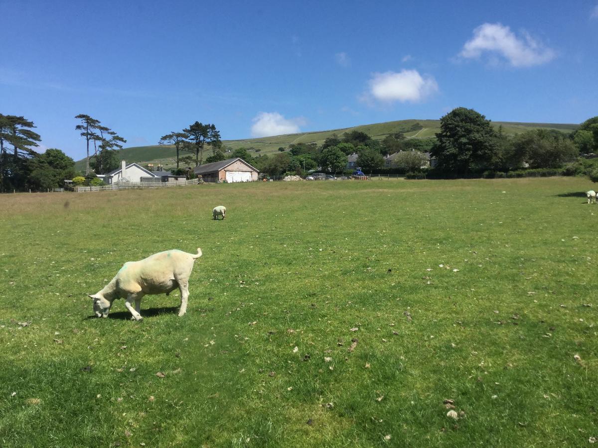 Plas Y Nant Llwyngwril Exteriér fotografie